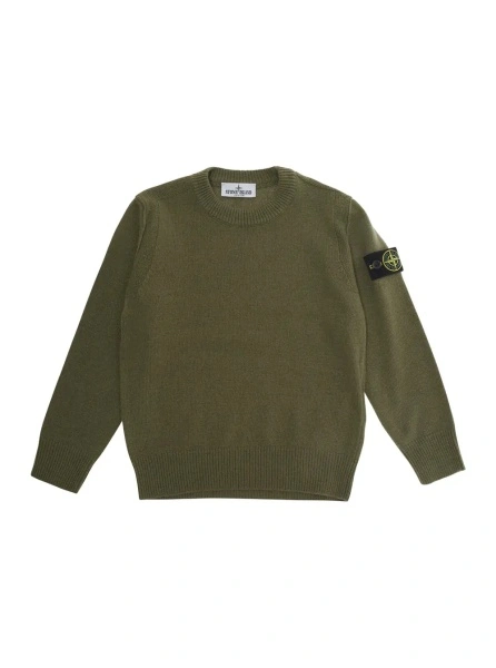 Pulover Green Crew Neck Sweater with Logo Patch on Sleeve in wool boy