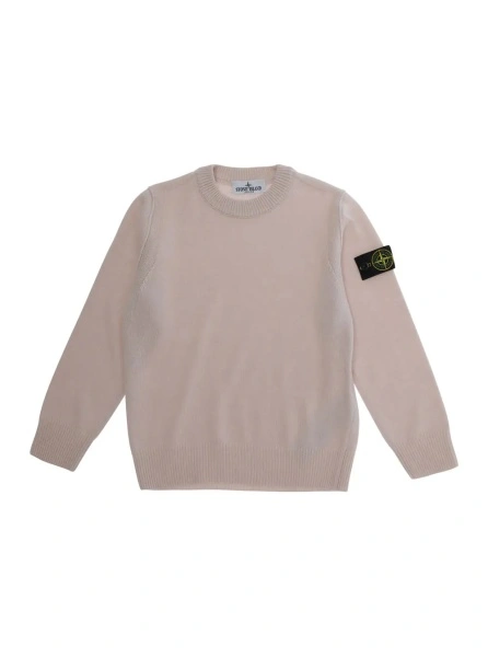 Pulover Pink Crew Neck Sweater with Logo Patch on Sleeve in Wool Boy