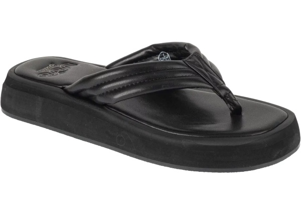 Slapi S.Bahia Lady 2501
