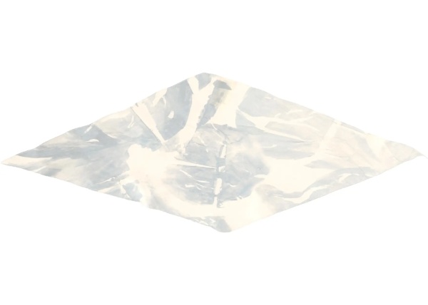 Esarfa Silk Scarf