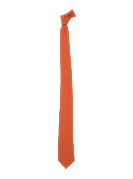Papioane Papillon 'SILK' Orange Silk for Men