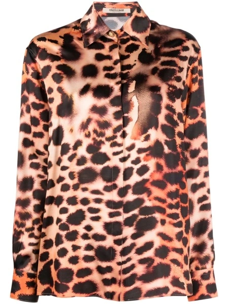 Bluza Roberto Cavalli neutra