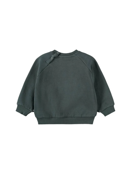 Bluza trening Disc Sweat shirt