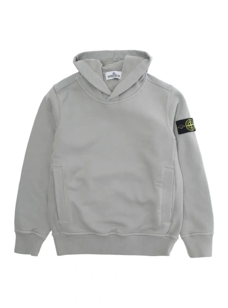 Bluze Grey Hoodie with Fixed Hood and Logo Patch on the Sleeve in Cotton Boy