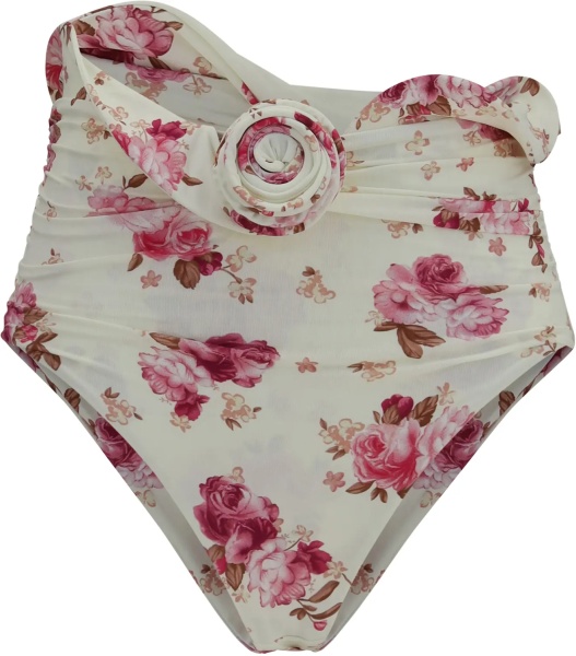 Costume Shaping floral-print Bikini Bottom