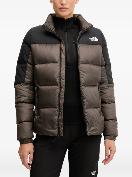 Geaca de iarna The North Face maro