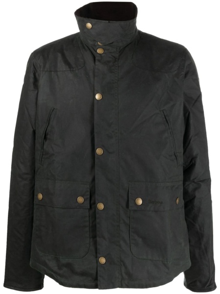 Jacheta Barbour albastra
