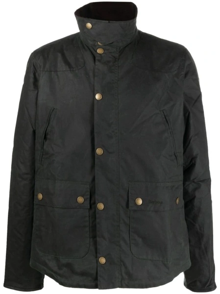 Jacheta Barbour albastra