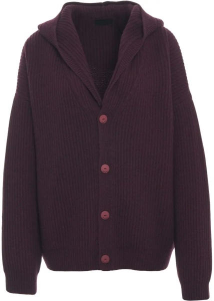 Cardigane Wool cardigan