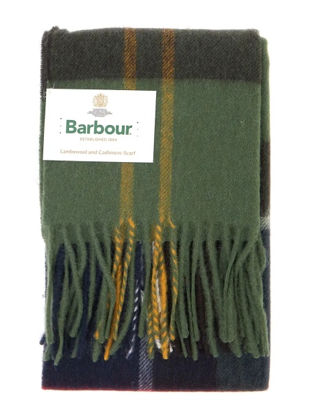 Esarfa Green Scarf with logo patch on the front and fringed edge in wool for men