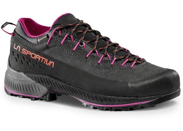 Incaltaminte TX4 Evo W'S GTX Approach Shoes Carbon/Springtime