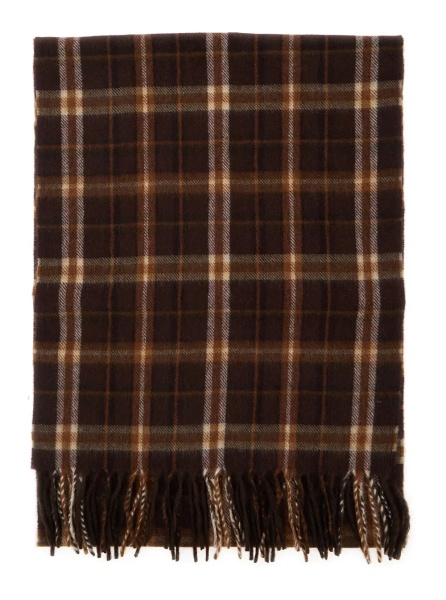 Esarfa Brown Scarf with Fringed Hem and All-Over Check Motif in Cashmere Man