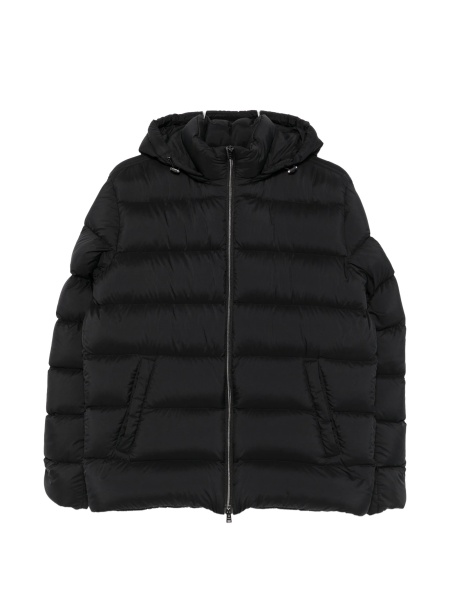 Jacheta Herno neagra