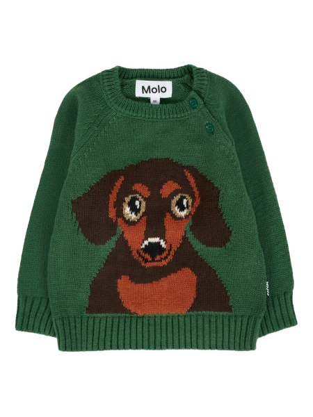 Pulover MOLO verde