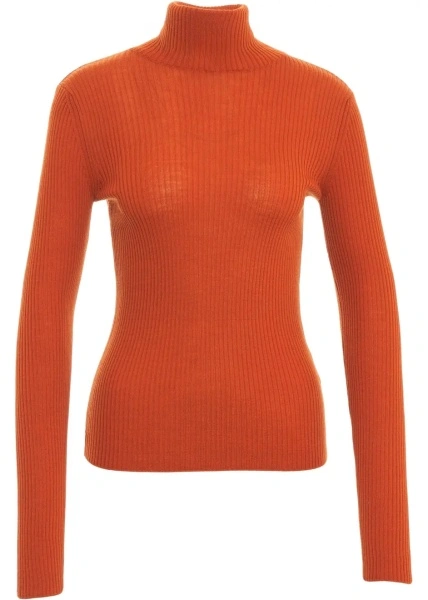 Pulover Wool turtleneck sweater