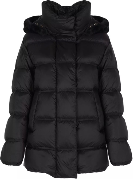 Thaina W2626F