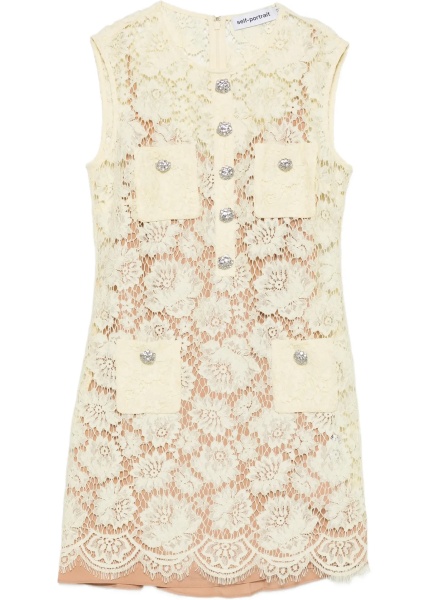 Fine Lace Mini Dress
