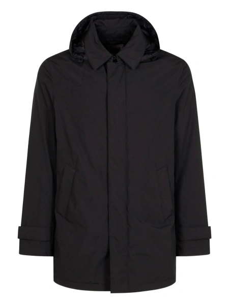 Jacheta Herno neagra