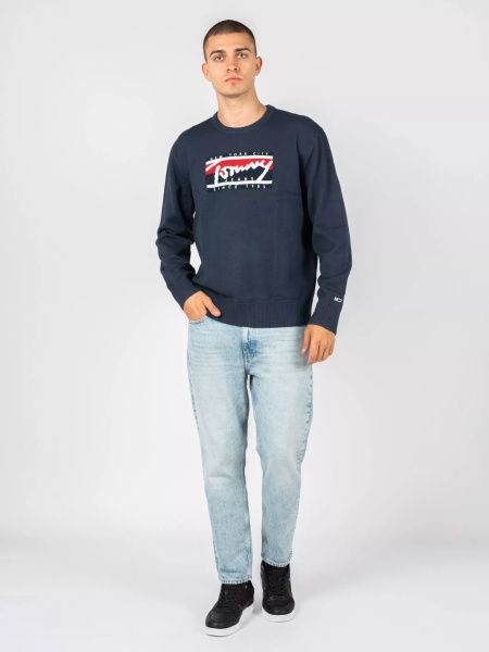 Bluza DM0DM13045