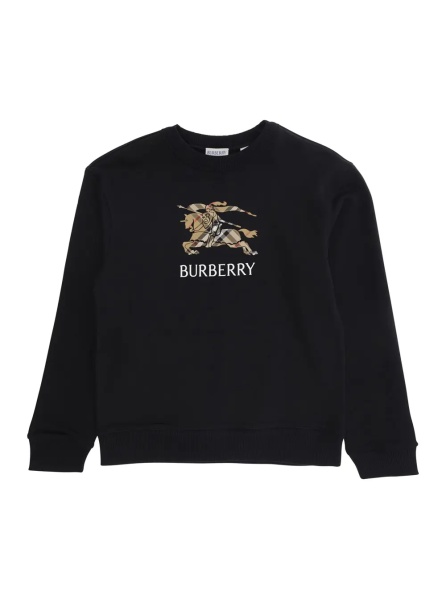 Hanorace Black Crewneck Sweatshirt with Logo Lettering and EKD Embroidery on the Front in Cotton Boy