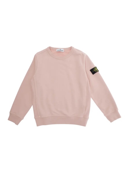 Hanorace Pink Crewneck Sweatshirt with Logo Patch on the Sleeve in Cotton Boy