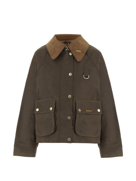 Jacheta Barbour maro
