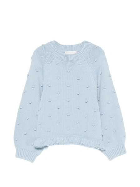 Pulover Stella McCartney albastru