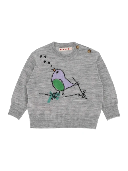 Pulovere Knitwear