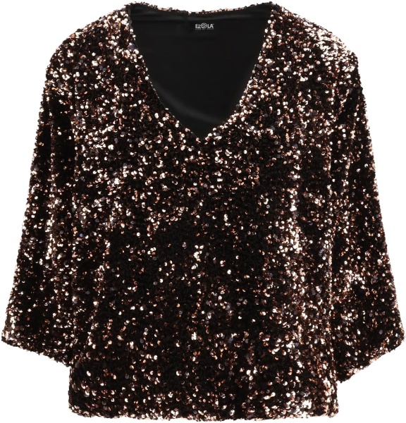 Sequined Blouse