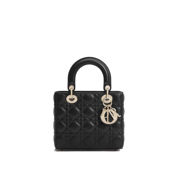 Geanta de mana Lady Dior Small Bag