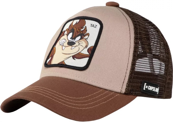 Looney Tunes Taz Trucker