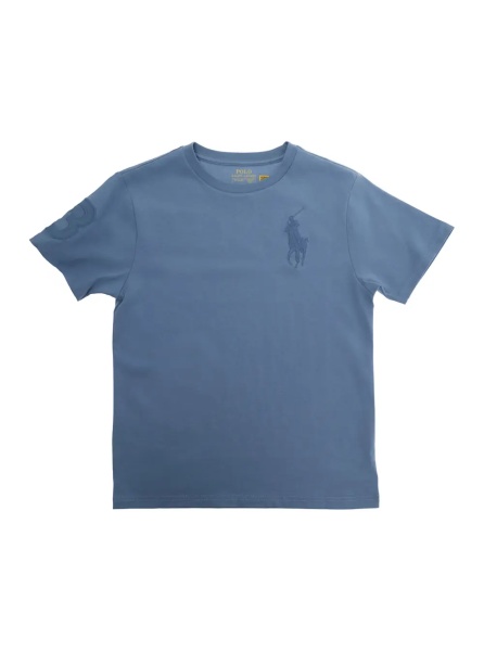 Tricou Blue T-Shirt with Logo Print on the Front for Men