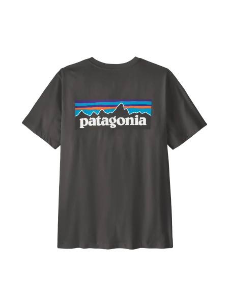 Tricou Patagonia gri