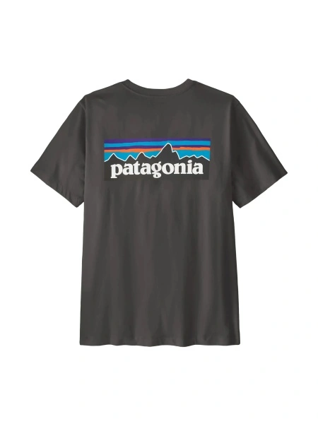 Tricou Patagonia gri