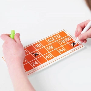 Bingo Set - Complete with Reusable Cards [DEMO] - Img 4