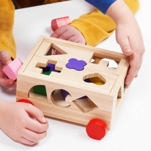 Shape Sorter - Shape Sorting Toy [DEMO] - Img 3