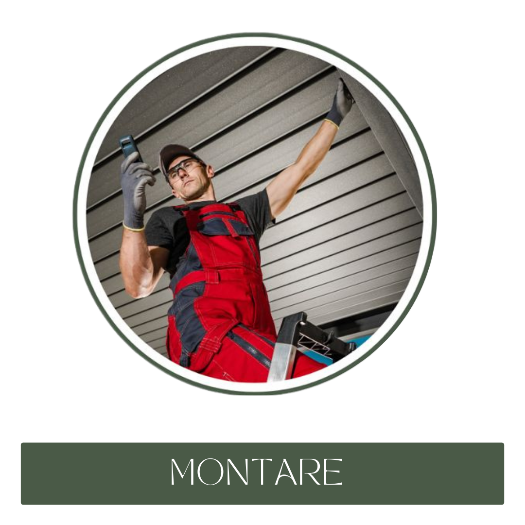 Montaj Profesionist