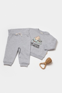 Set hanorac si pantaloni, Two thread, 100%bumbac organic - Gri, BabyCosy (Marime: 9-12 luni)