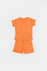 Set tricou cu pantaloni Printed, portocaliu, BabyCosy, 50%bumbac+50% modal (Marime: 6-9 luni) - Img 2