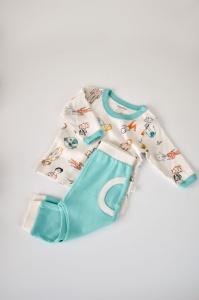 Set bluzita cu maneca lunga si pantaloni lungi, 100% bumbac organic, BabyCosy, Verde (Marime: 6-9 luni) - Img 1