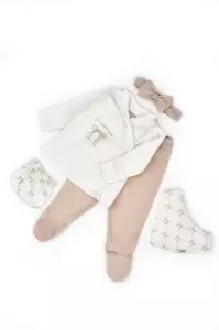 Set de 5 piese pentru nou nascut, Bow, stone, BabyCosy - Img 2