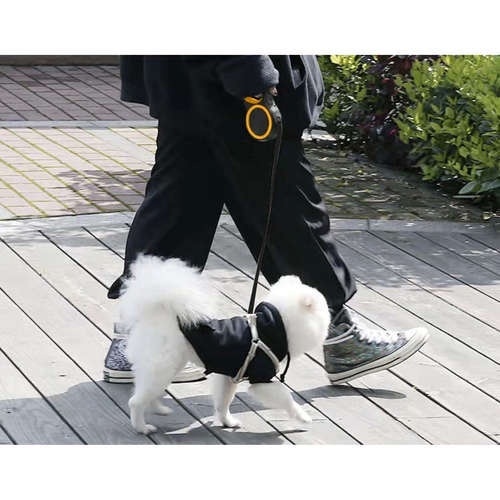 Lesa retractabila rezistenta pentru caini, EBA, 8 m, 50 kg, Negru - Img 2