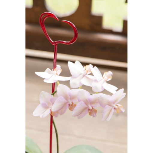 Stick pentru sprijinire orhidee EBA, plastic, decor, 50 cm - Img 2