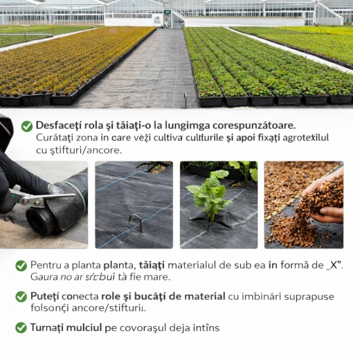Folie Agrotextil 1.6m X 50m, 70g/m² Antiburuieni, Mulcire, Filtru UV, Negru – Ideal pentru Gradina &amp; Sere - Img 3
