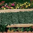 Gard viu artificial EBA, 1.5m x 3m, verde, rezistent UV, montaj rapid - Img 4