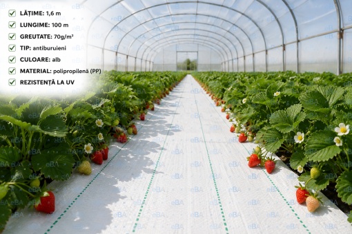 Folie Agrotextil Antiburuieni Alba 1.6m x 100m, 70g/mp, Rezistenta UV, Agrotextil Profesional pentru Gradina, Sere, Capsuni, Legume si Peisagistica - Img 4
