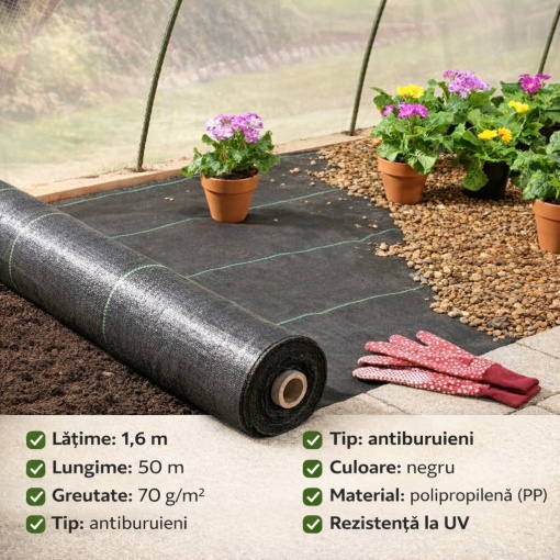 Folie Agrotextil 1.6m X 50m, 70g/m² Antiburuieni, Mulcire, Filtru UV, Negru – Ideal pentru Gradina &amp; Sere - Img 4