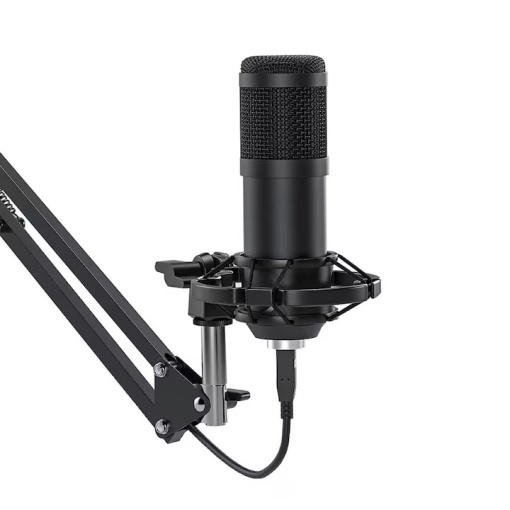 Microfon profesional de studio EBA, BM-700, universal, filtru pop, suport reglabil, Negru - Img 4