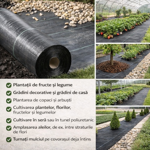 Folie Agrotextil 1.6m X 50m, 70g/m² Antiburuieni, Mulcire, Filtru UV, Negru – Ideal pentru Gradina &amp; Sere - Img 2
