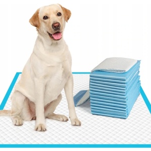 Set de 100 de covorase igienice absorbantepentru caini EBA, strat inferior impermeabil, dimensiune 60 x 60 cm